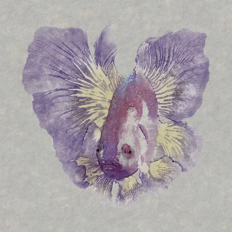 Blue Betta